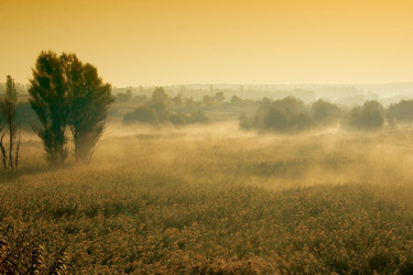 Similar image 217106