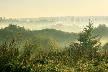 Similar image 217107