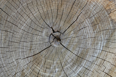 Similar image 217112