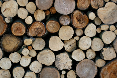 Similar image 217114