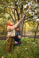 Similar image 217133