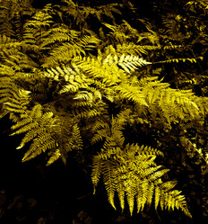 Similar image 217140