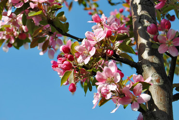 Similar image 217185