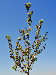 Similar image 217186