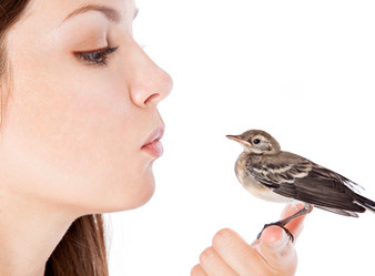 Similar image 217215