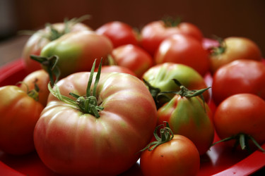 Similar image 217225