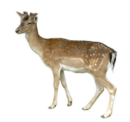 Similar image 217234