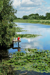 Similar image 217246