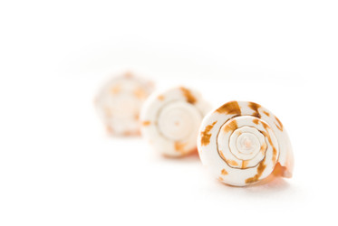 Similar image 217249