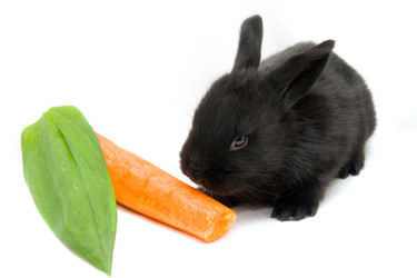 Similar image 217253