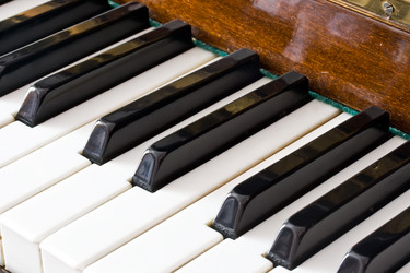 Similar image 217256