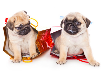 Similar image 217292