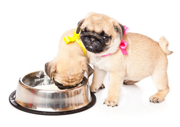 Similar image 217295