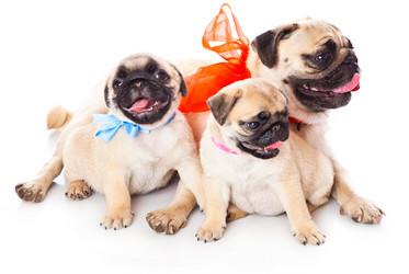 Similar image 217298