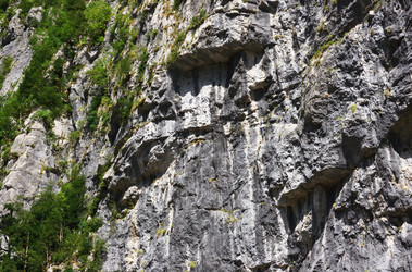 Similar image 217299