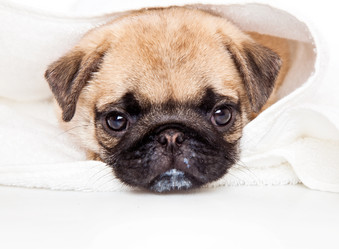 Similar image 217300