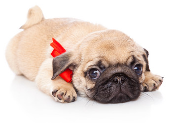 Similar image 217302