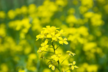 Similar image 217324