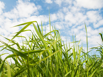 Similar image 217342