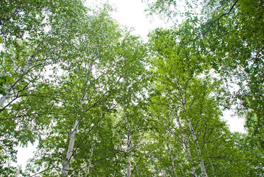 Similar image 217343