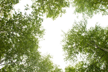 Similar image 217344