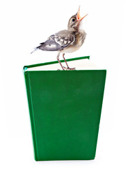 Similar image 217346