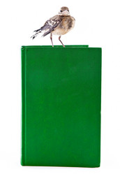 Similar image 217348