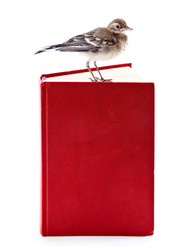 Similar image 217349