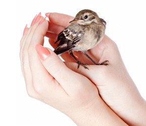 Similar image 217360