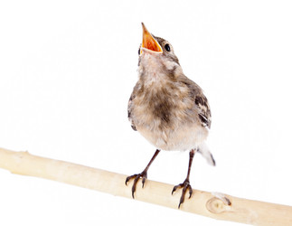 Similar image 217365