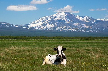 Similar image 217369