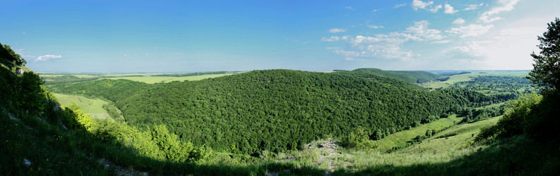 Similar image 217372