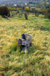 Similar image 217373