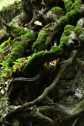 Similar image 217374