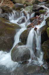 Similar image 217396