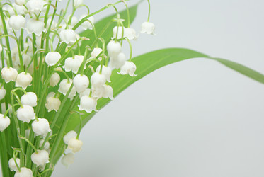 Similar image 217420