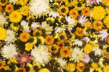 Similar image 217432