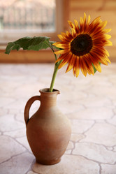 Similar image 217441