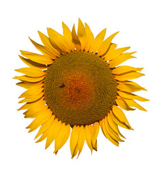 Similar image 217447