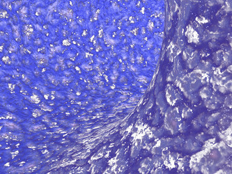 Similar image 217497