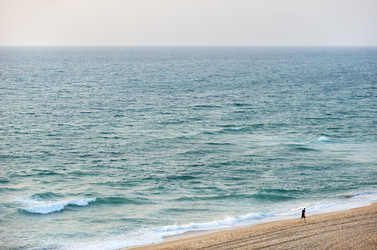 Similar image 217526