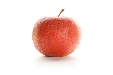 Similar image 217542