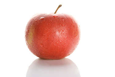 Similar image 217543