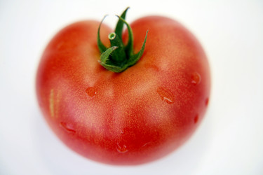 Similar image 217547