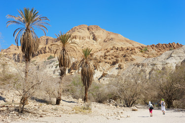 Similar image 217556