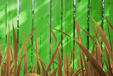 Similar image 217558