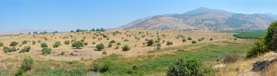 Similar image 217564