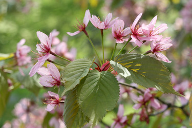 Similar image 217595