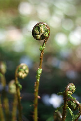 Similar image 217605