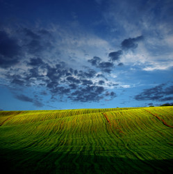 Similar image 217616